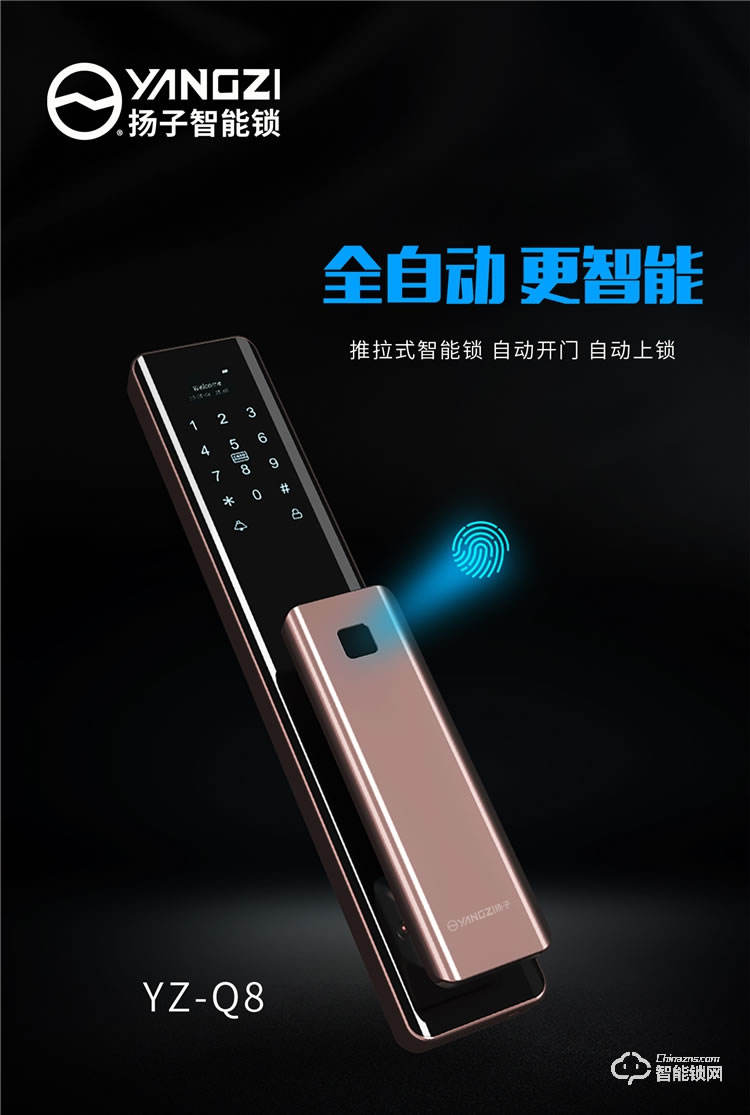 扬子智能锁 Q8家用防盗门推拉式智能门锁