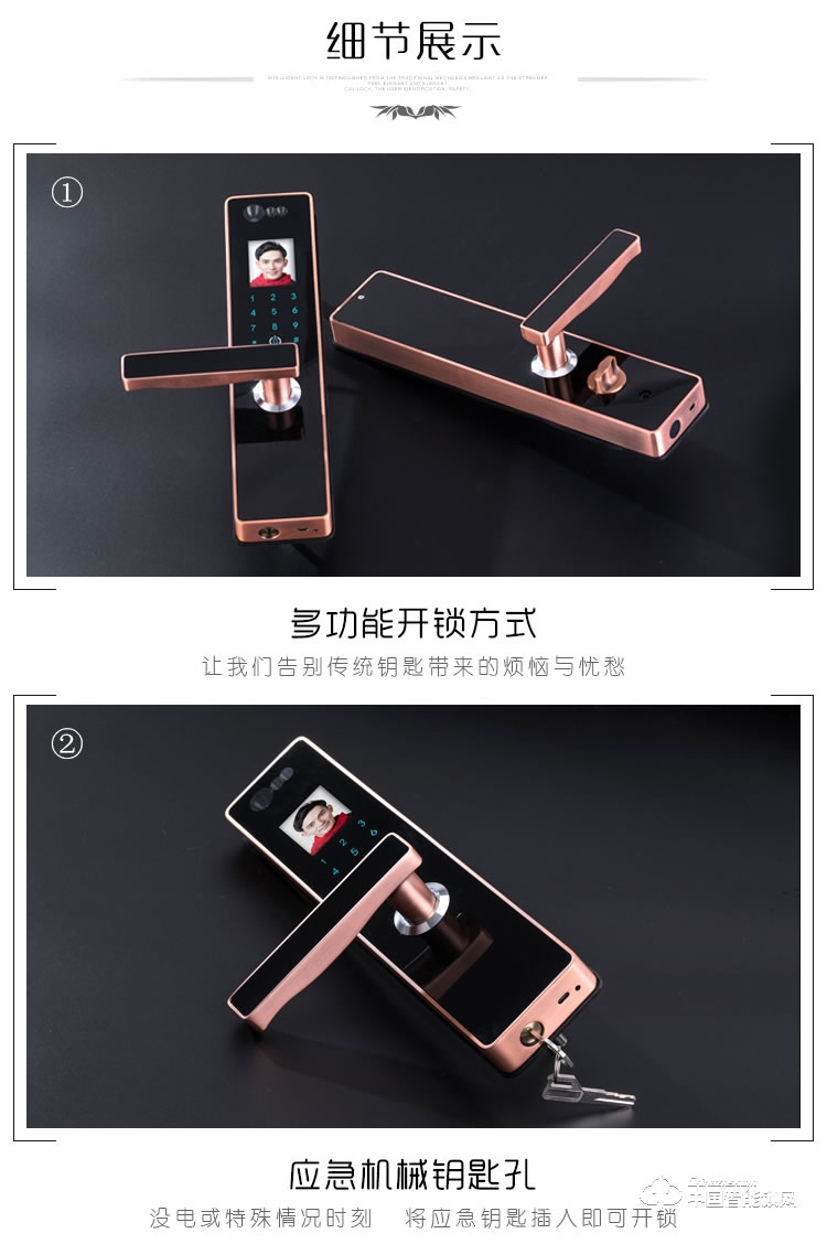 伊派尔人脸识别锁 掌静脉识别锁 指纹锁密码锁