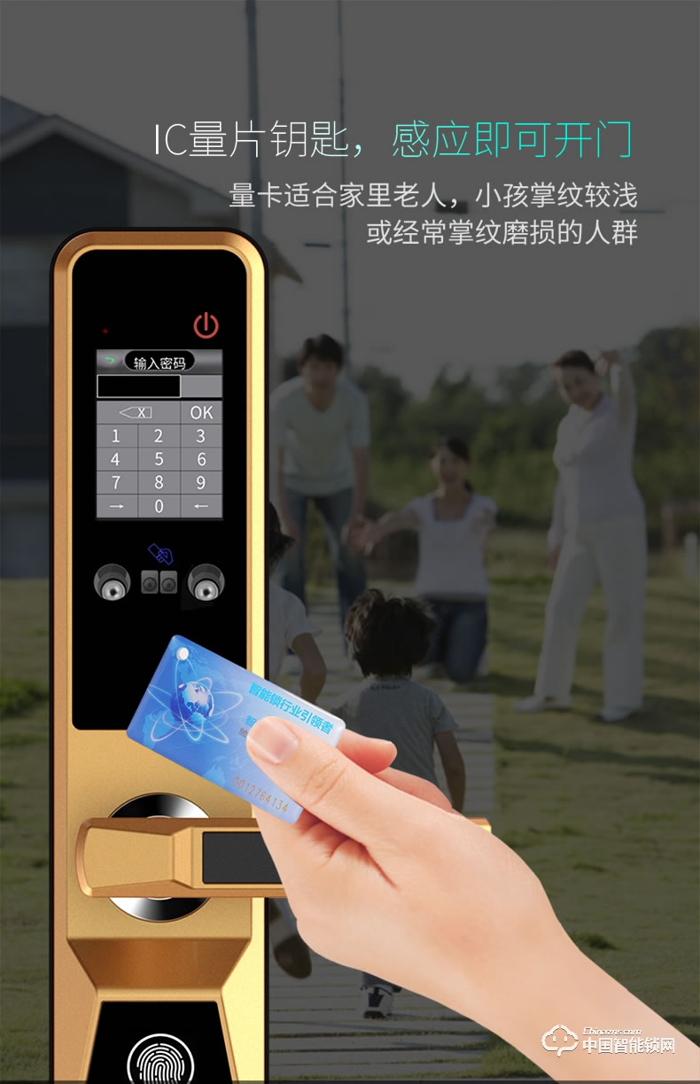 浩宇兴智能锁 人脸识别锁家用防盗门锁智能锁
