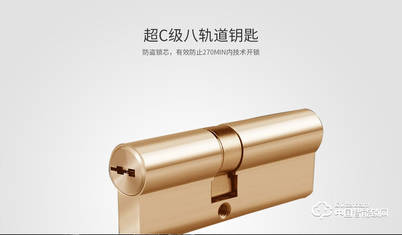 茵朗智能锁 人脸识别智能锁EF05