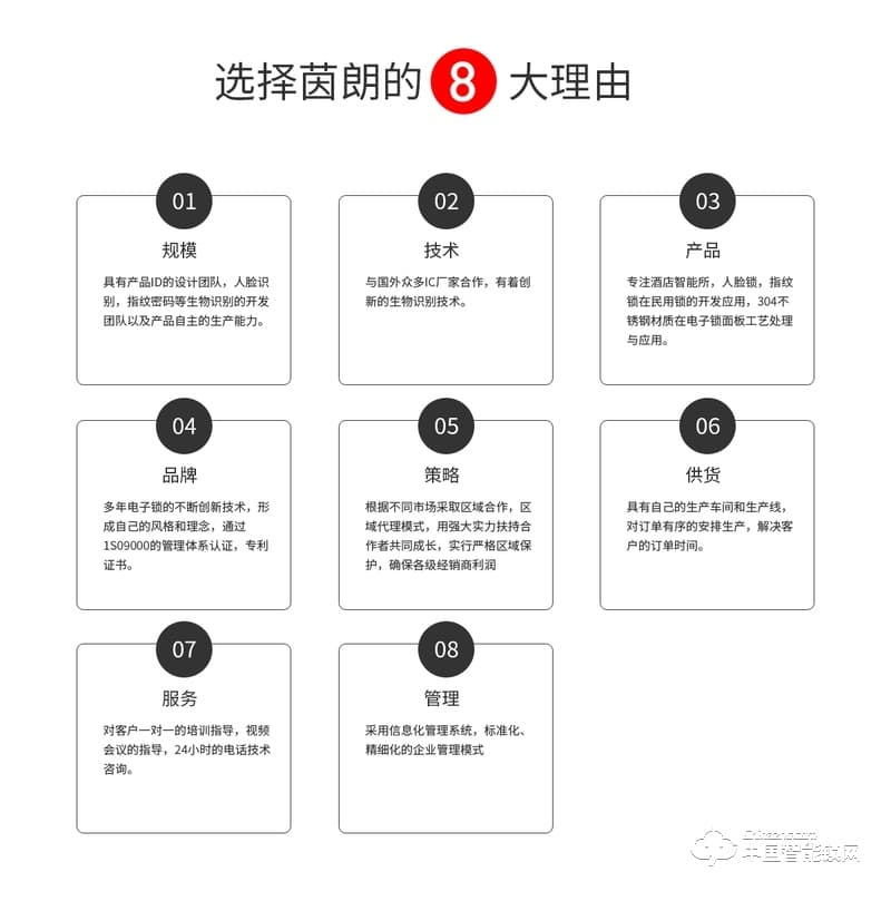 茵朗智能锁 人脸识别智能锁EF05