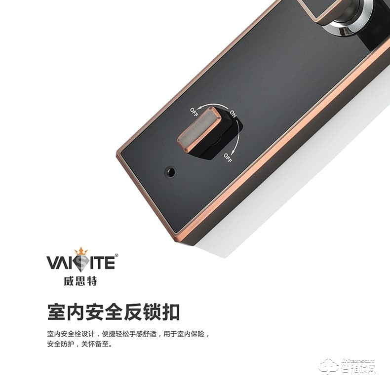 威思特智能锁 N5人脸识别智能锁