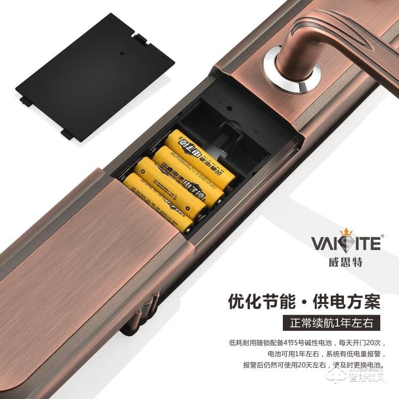 威思特智能锁 P10豪华别墅大拉手智能指纹锁