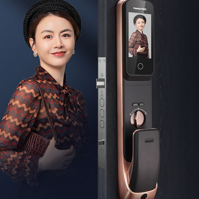 凯迪仕K20Pro 可视监控带屏幕可视猫眼智能锁