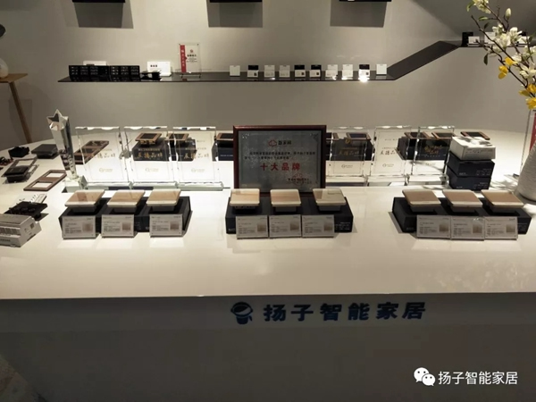 智能家居市场需求多样化对扬子智能家居的发展是有利的
