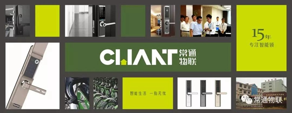 常通物联：匠心独具，勇攀高峰