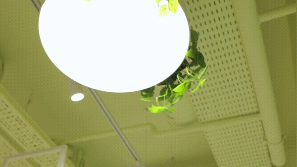 河东智能家居：这是一封来自白俄罗斯的邮件